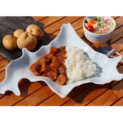よしもとカレー「北海道こしみず三種のじゃがいも編」計880gセット