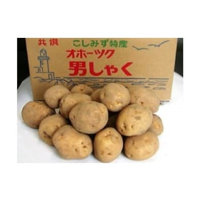 北海道小清水町産 男爵いも10kg ほくほく食感 産地直送