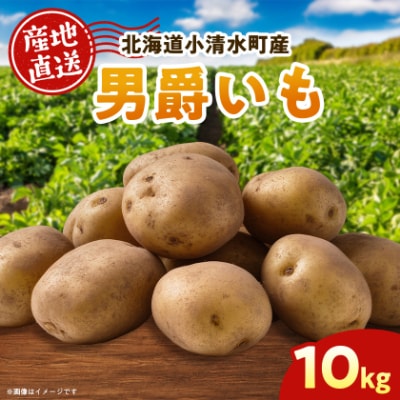北海道小清水町産 男爵いも10kg ほくほく食感 産地直送