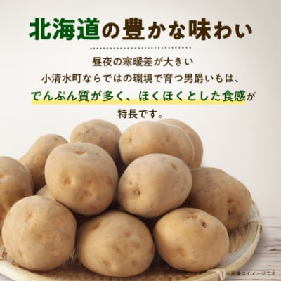 北海道小清水町産 男爵いも10kg ほくほく食感 産地直送