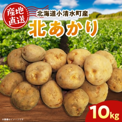 北海道小清水町産 北あかり10kg 甘み豊かな人気じゃがいも | ふるさと納税のお礼品
