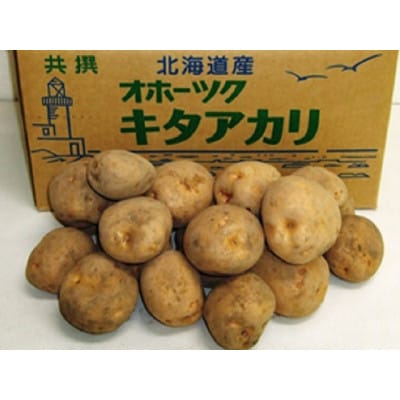 北海道小清水町産 北あかり10kg 甘み豊かな人気じゃがいも