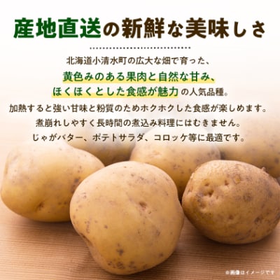 北海道小清水町産 北あかり10kg 甘み豊かな人気じゃがいも