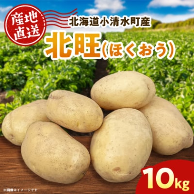 北海道小清水町産 北旺10kg 煮物におすすめのじゃがいも