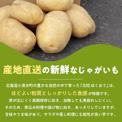 北海道小清水町産 北旺10kg 煮物におすすめのじゃがいも