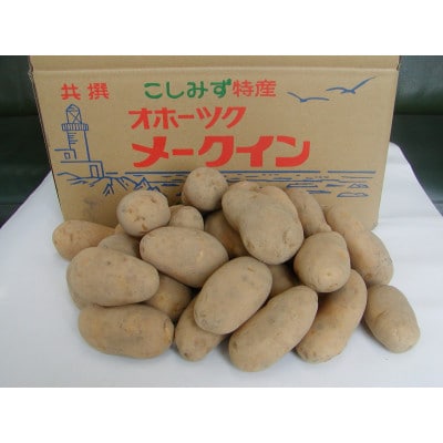 北海道小清水町産 メークイン10kg 煮崩れしにくいじゃがいも