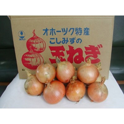 北海道小清水町産 玉ねぎ20kg 甘み豊か 産地直送