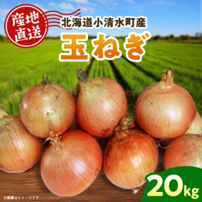 北海道小清水町産 玉ねぎ20kg 甘み豊か 産地直送