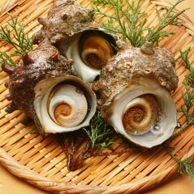 【知夫里島】サザエ醤油(100ml×3本)