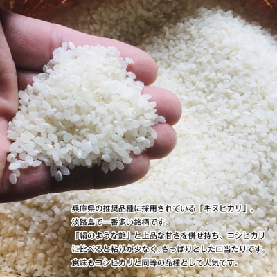 令和7年度 淡路島産キヌヒカリ 5kg (精米)　as30007
