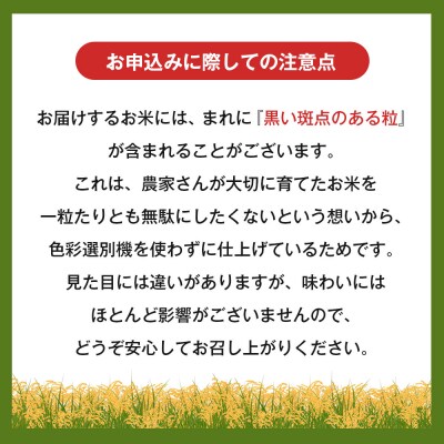 令和7年度 淡路島産キヌヒカリ 5kg (精米)　as30007