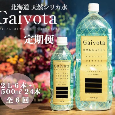 <定期便　Gaivota2箱(500ml×24本+2L×6本)×6回分>　北のハイグレード食品　北海