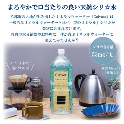 【Gaivota　2箱(2L×6本/箱】北のハイグレード食品　北海道乙部町の天然シリカ水