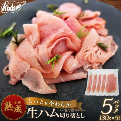 生ハム切り落とし　5パックセット
