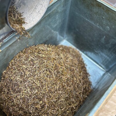 さつき濃神谷園　焙煎ほうじ茶