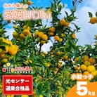 訳あり 愛媛みかん 小粒っ子 約5kg ミカン 蜜柑 みかん職人武田屋 愛南町