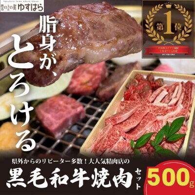 低温でも脂身がとろける梼原町産黒毛和牛 丸かじり焼肉セット(500g)