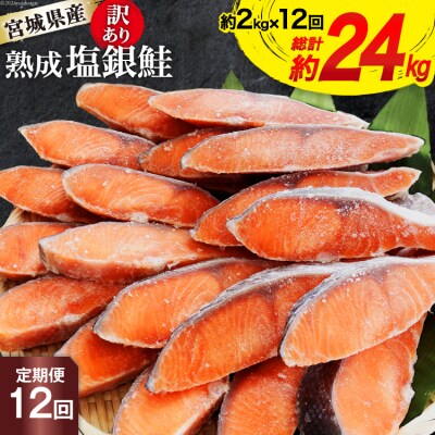 定期便《12ヶ月》 訳あり 宮城県産 銀鮭 切身 約2kg×12回 計24kg 20564498
