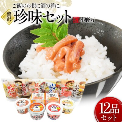 塩辛・珍味 12品セット [小野万 20565730]