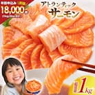 ノルウェー産 アトランティックサーモン 総重量 1kg (正味重量850g) 20565509