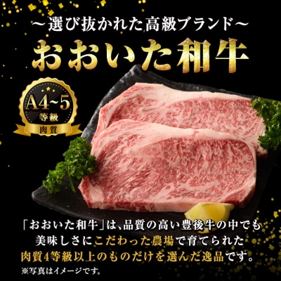 おおいた和牛食べ比べセット(合計1.8kg)