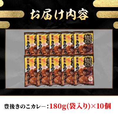 豊後きのこカレ-(180g×10個)