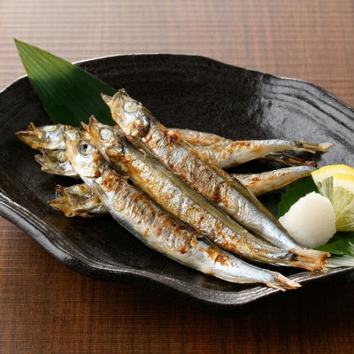 子持ち樺太ししゃも丸干し (500g×1袋) 子持ち樺太ししゃものフライ (450g×1袋)