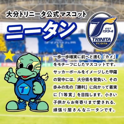 大分トリニータ公式マスコットぬいぐるみ 圧倒的ニータン(1個) 