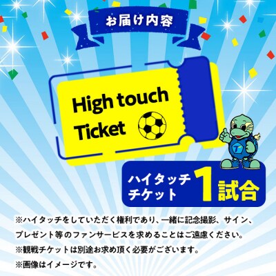 大分トリニータホームゲームロイヤルシート観戦体験(ペア) 