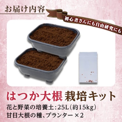 初心者さんにも! はつか大根 栽培キット 