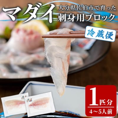 マダイ 刺身用 ブロック (1匹分・4-5人前) 