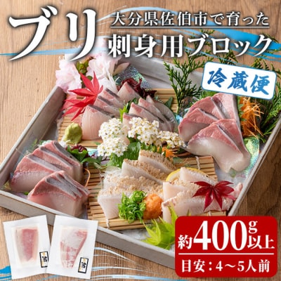 ブリ 刺身用 ブロック (約400-500g・4-5人前) 