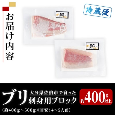 ブリ 刺身用 ブロック (約400-500g・4-5人前) 