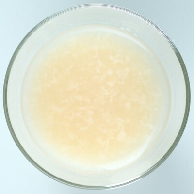 国産原料米にこだわった 有機あまざけ3本セット (計1.5L・500ml×3本) 