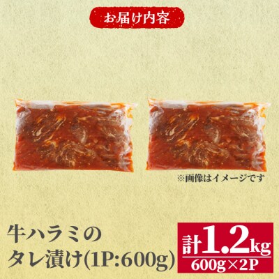牛ハラミ の タレ漬け 計1.2kg(600g×2パック) 