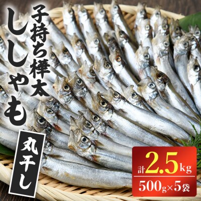 子持ち樺太ししゃも丸干し 計2.5kg(500g×5袋) 