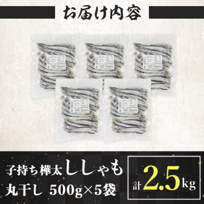 子持ち樺太ししゃも丸干し 計2.5kg(500g×5袋) 