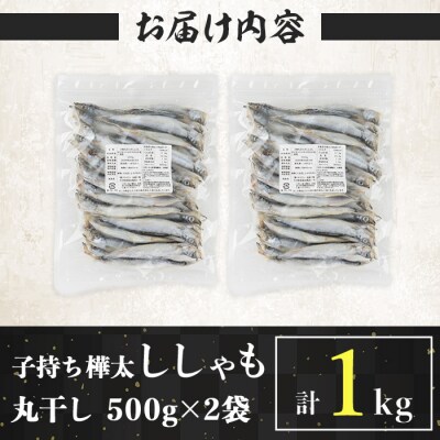 子持ち樺太ししゃも丸干し 計1kg(500g×2袋) 
