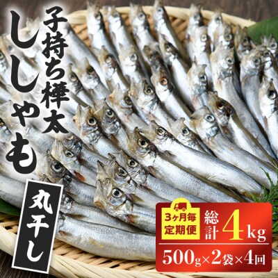 子持ち樺太ししゃも丸干し 計4kg(500g×2袋×4回(3ヶ月毎)