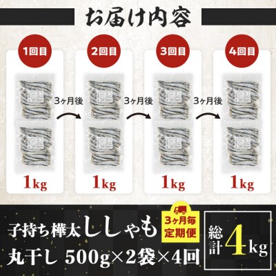 子持ち樺太ししゃも丸干し 計4kg(500g×2袋×4回(3ヶ月毎)