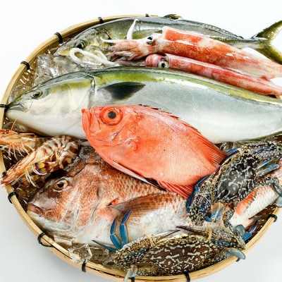 ＜定期便＞ 魚介類定期便 (全12回 ・連続) 