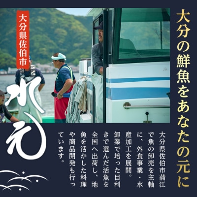 大分県産 美人鰤 刺身 セット (計400g・刺身100g×4皿、醤油ダレ30ml×4個)