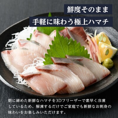 ハマチ 刺身 セット (計400g・ハマチ100g×4皿、醤油30ml×4個)