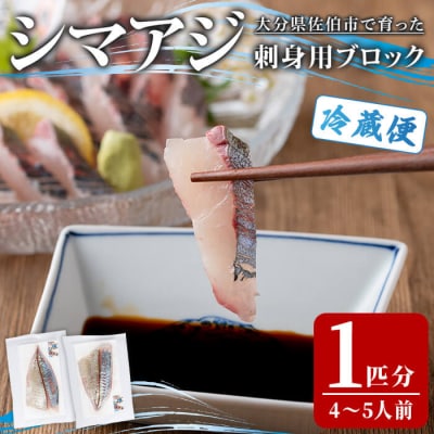 シマアジ 刺身用 ブロック (1匹分・4-5人前) 