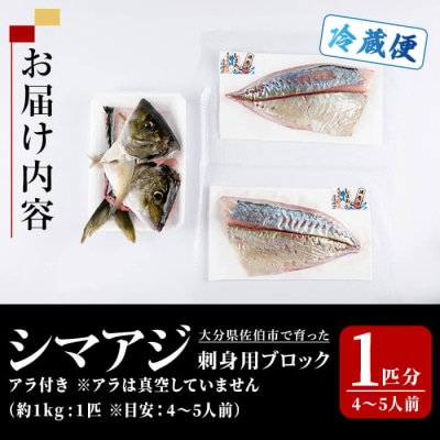 シマアジ 刺身用 ブロック (1匹分・4-5人前) 