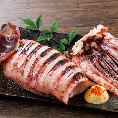  いかの一夜干し (10尾) 