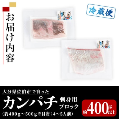 カンパチ 刺身用 ブロック (約400-500g・4-5人前) 