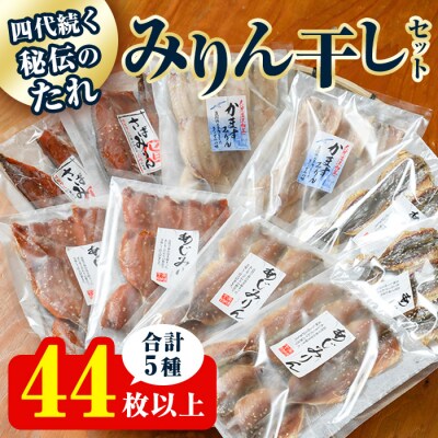 四代続く 秘伝のたれ みりん 干し セット (合計5種・44枚以上) 