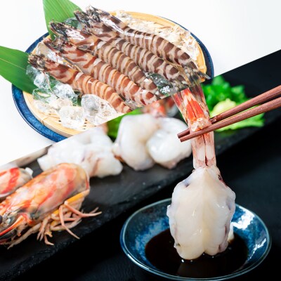 天然 活き〆車エビ 生食用 (計900g)  