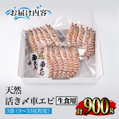 天然 活き〆車エビ 生食用 (計900g)  